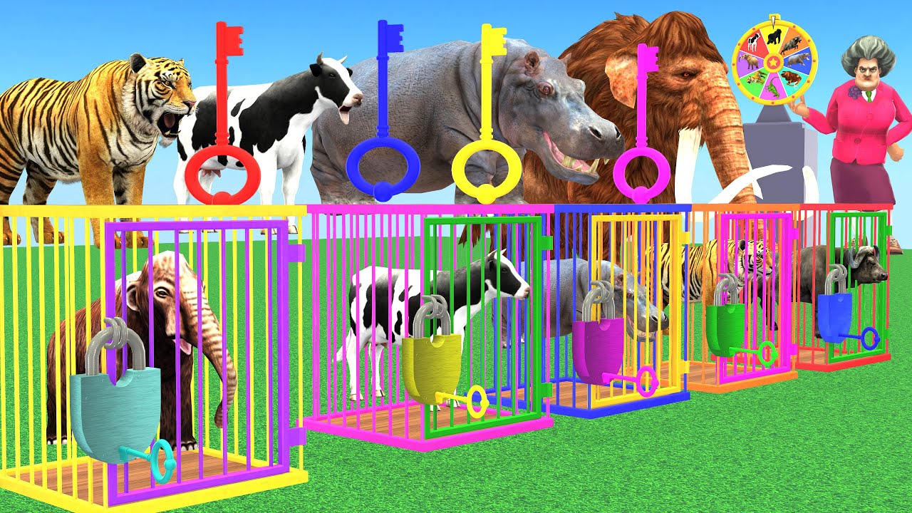 Choose the Right Key Challenge with Cow Tiger Elephant Mammoth Buffalo Gorilla Wild Animals