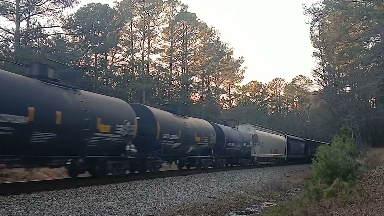 NS trains in Pell City AL 1/26-31/26