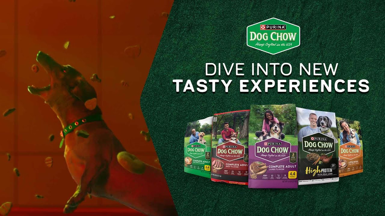 Dive into NEW tasty experiences from Dog Chow®