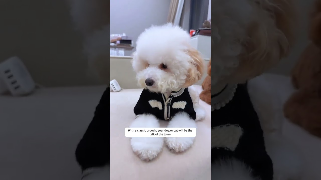 🎄 Dress your pet in style with our luxury dog sweater!