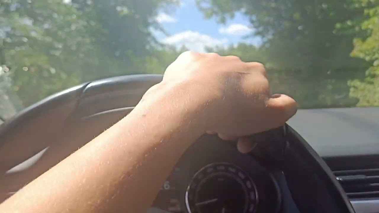 Ярий ячмінь та соняшник