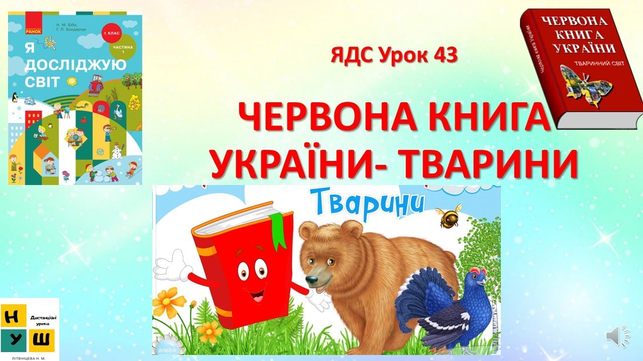 ЯДС  1 клас Урок 43 ЧЕРВОНА КНИГА УКРАЇНИ- ТВАРИНИ. Бібік