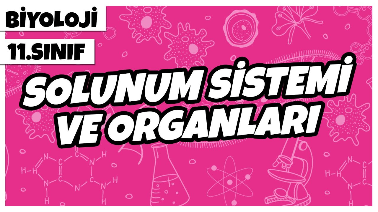 11. Sınıf Biyoloji - Solunum Sistemi ve Organları | 2022