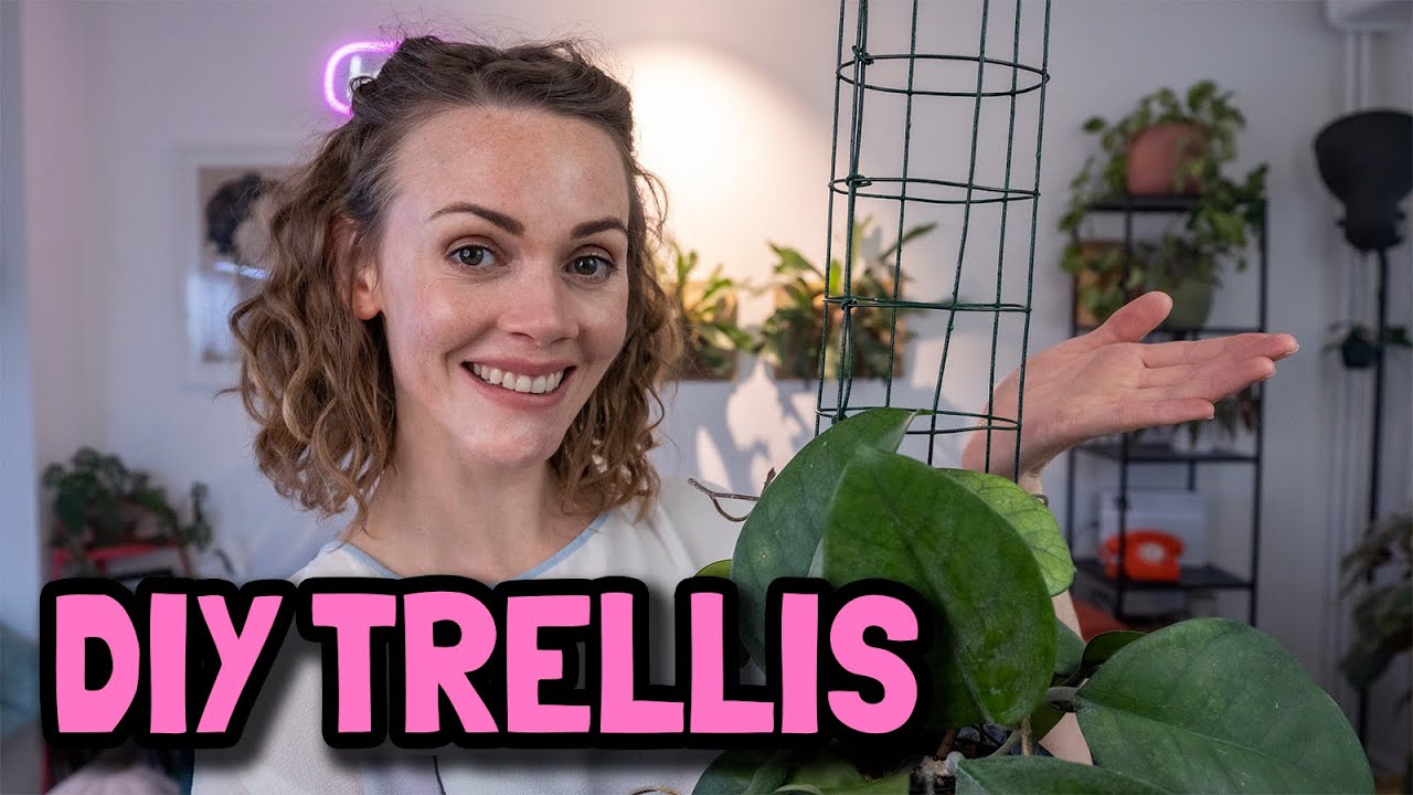 DIY trellis for Hoyas and climbing plants