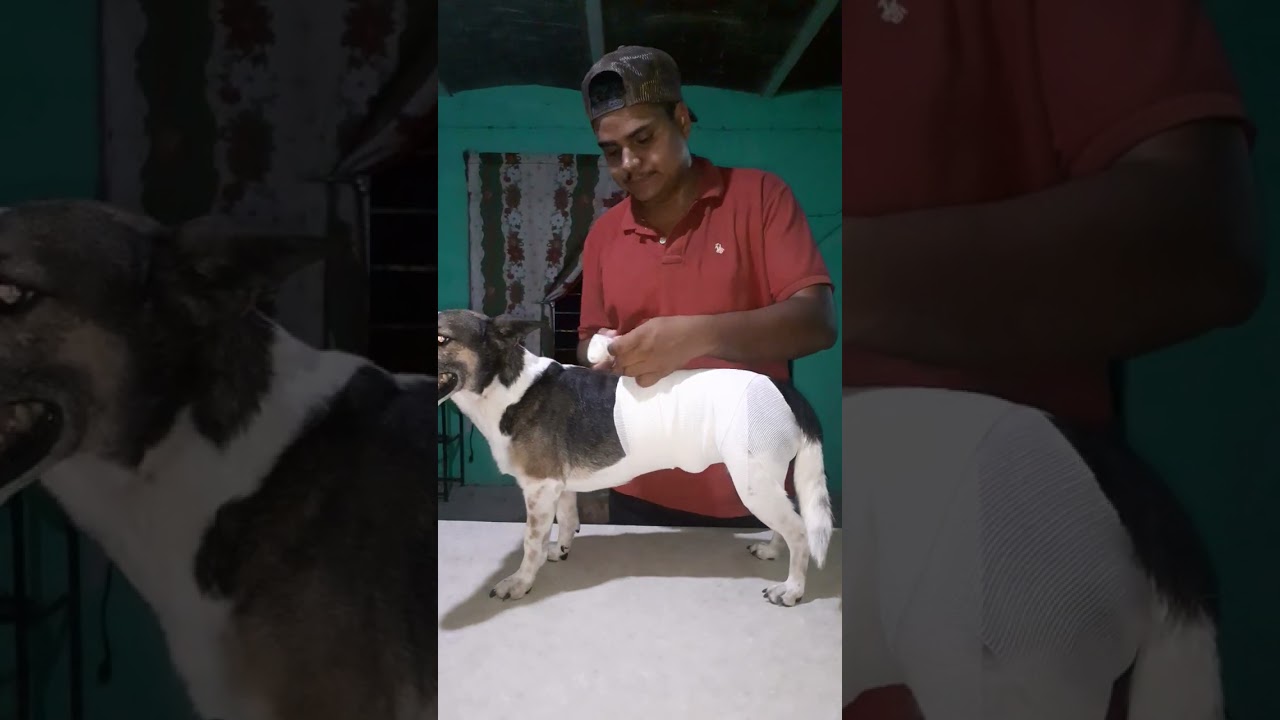 vendaje  Pelvico