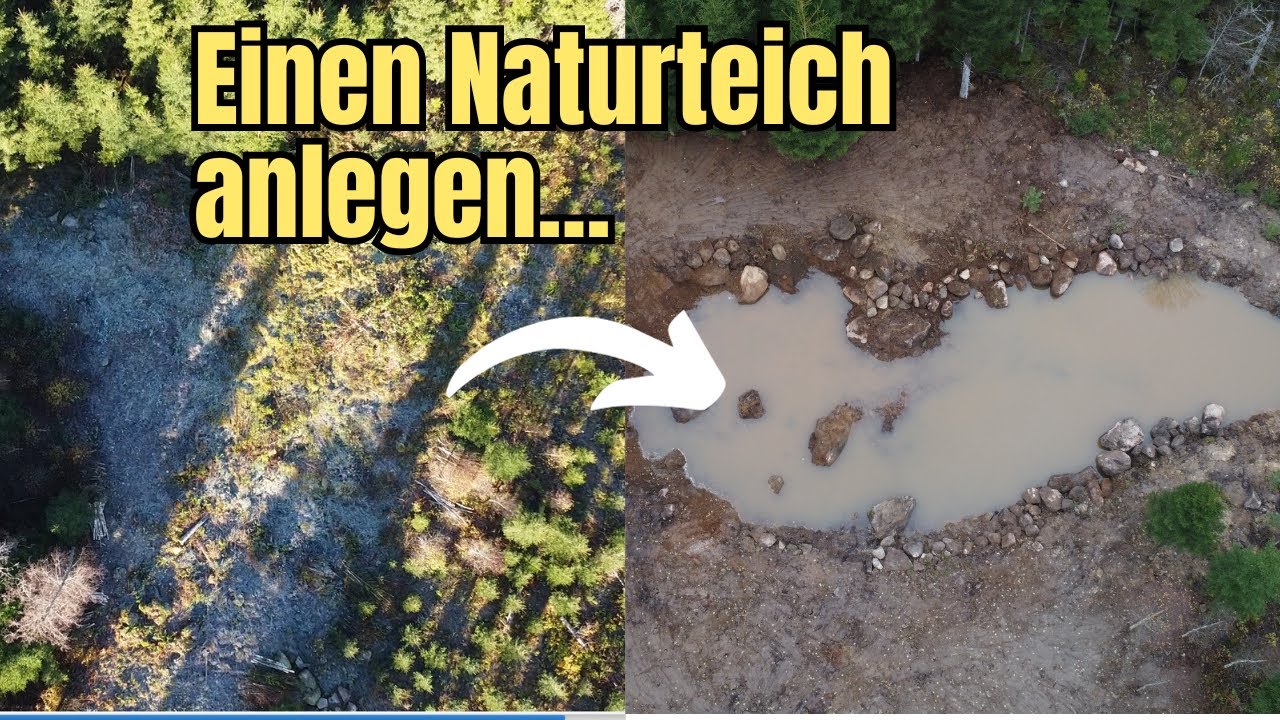 Wir haben einen Naturteich angelegt - So haben wir es gemacht