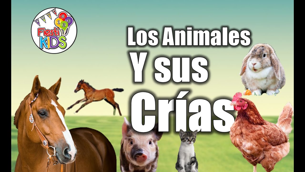 Los Animales Y Sus Cr&iacute;as