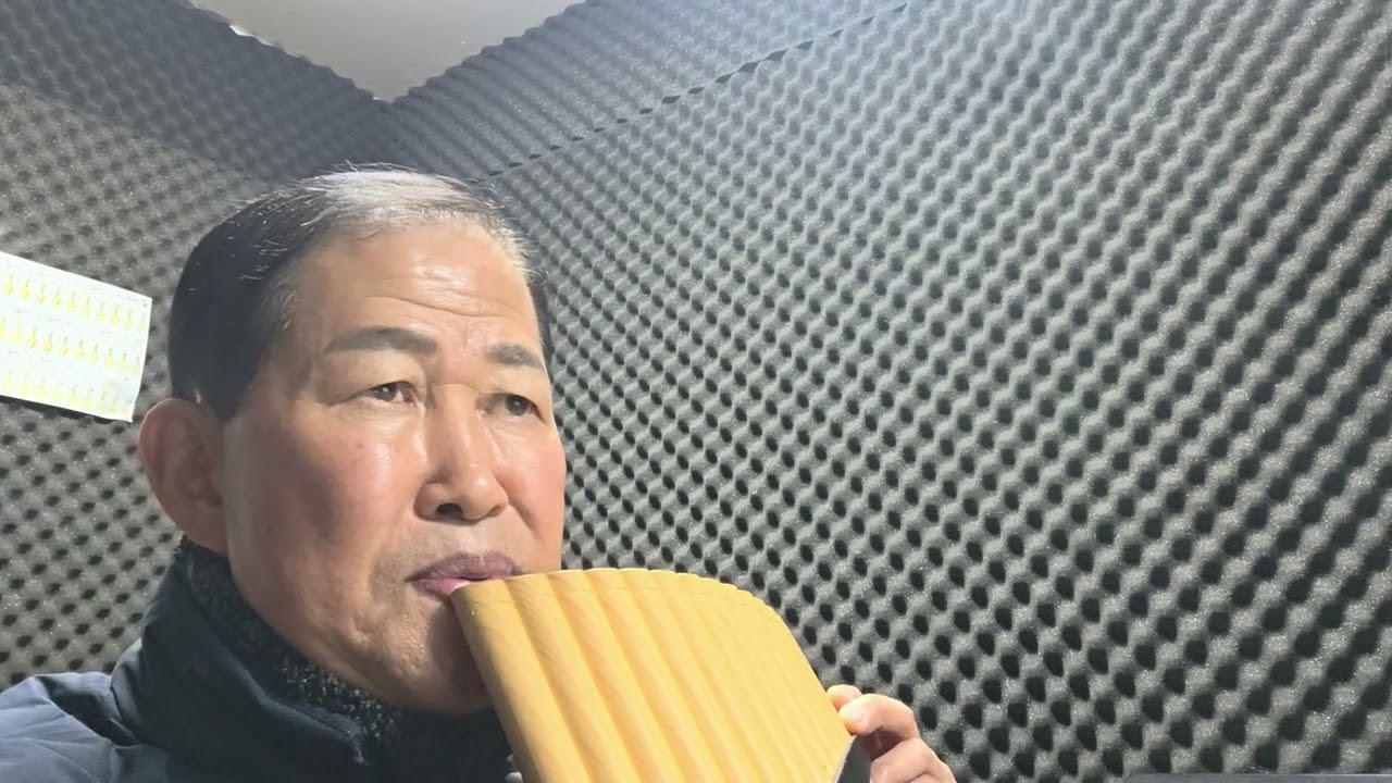 잊으리(이승연)  8개월의초년생            손기승팬플릇연주