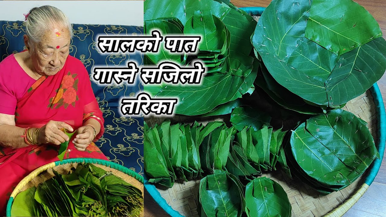 Duna tapari gasne sajilo tarika | सालको पात गास्ने सजिलो तरिका | Tapari duna | Hamro Chula
