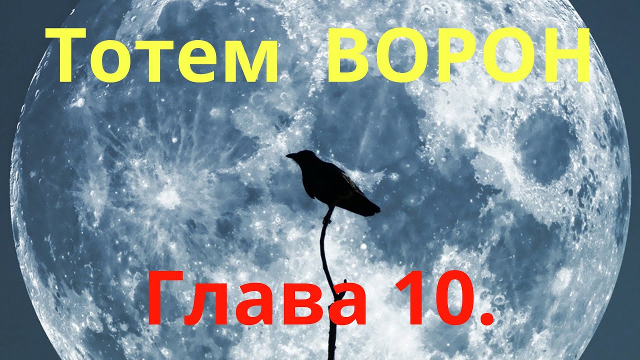 Тотем ВÓРОН 🐦‍⬛. Глава 10. Энциклопедия 