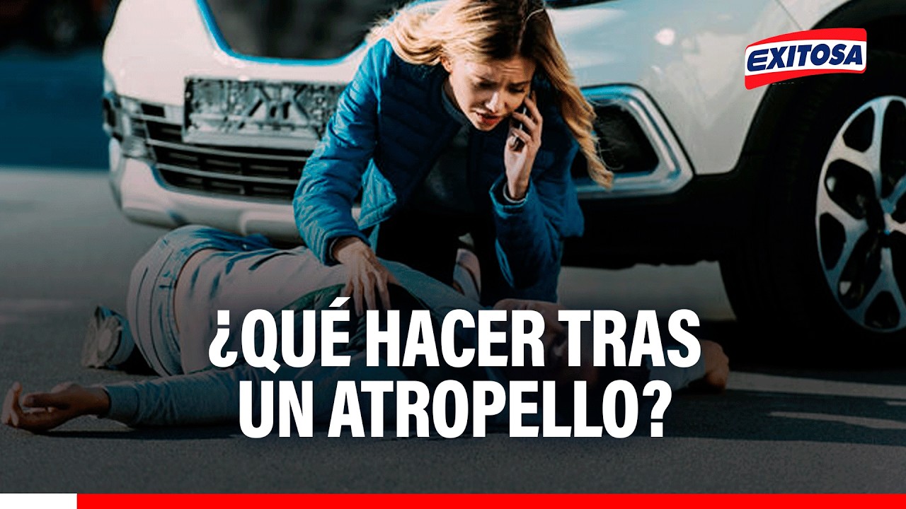 🔴🔵 ¿Qué hacer un conductor tras un atropello?