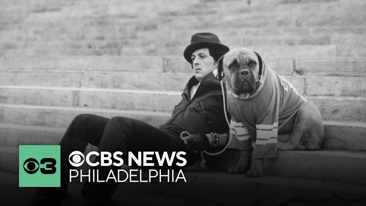 I Play Rocky movie is about to start filming in New Jersey, producers looking to cast boxers