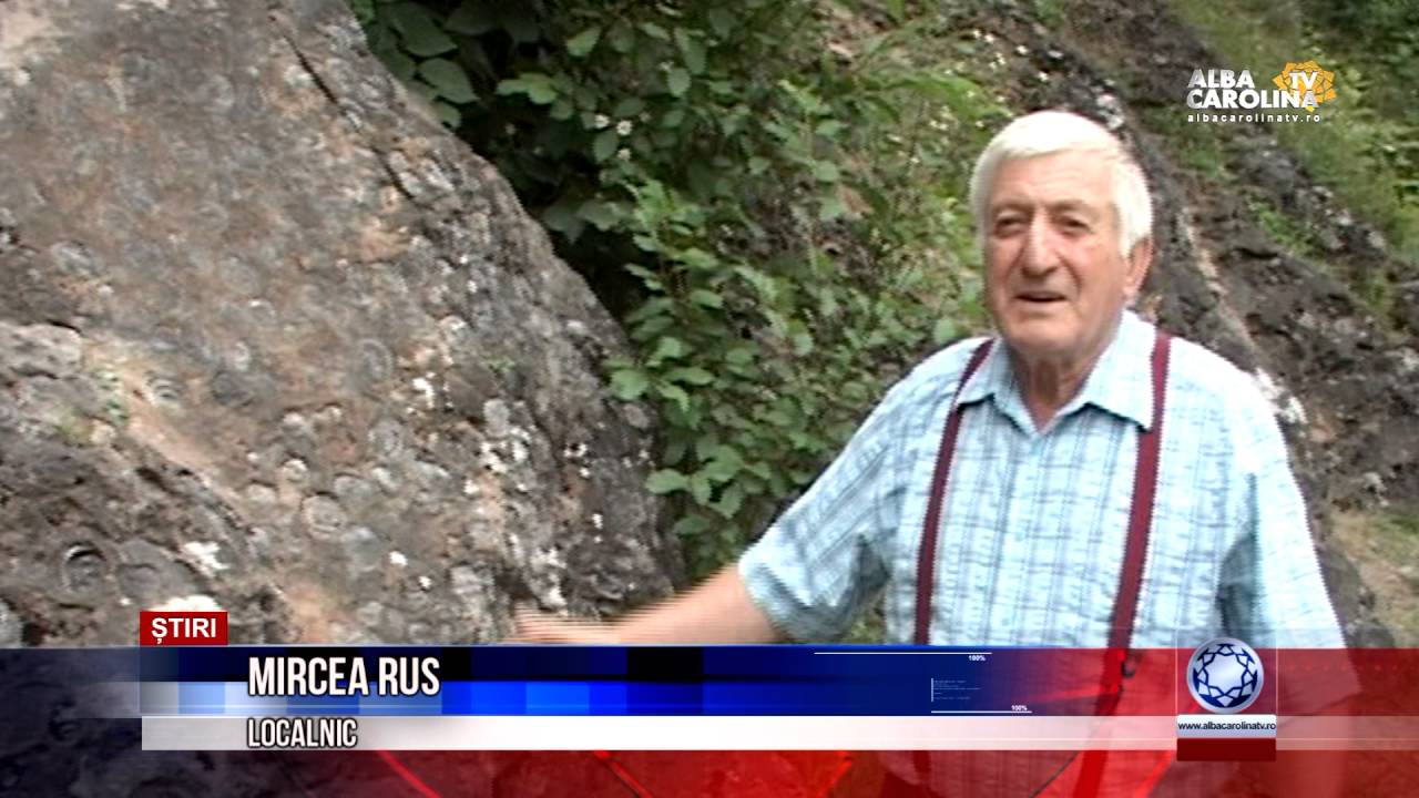 DEALUL CU MELCI