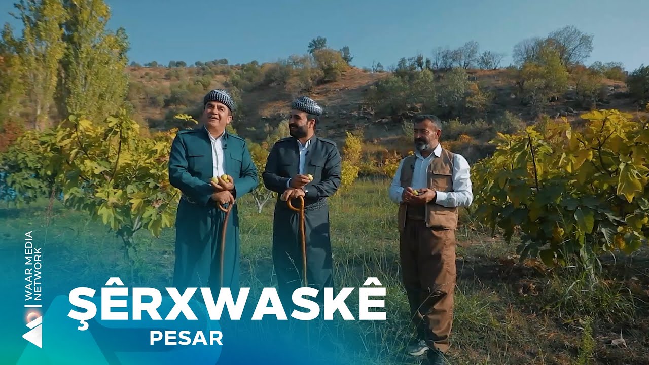 Pesar - Şêrxwaskê | پەسار- شێرخواسکێ