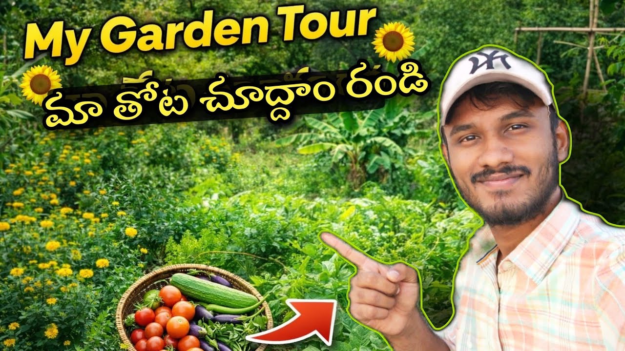 ఇంట్లో పండించే కూరగాయలు బిజినెస్ పెట్టుకోవచ్చు 