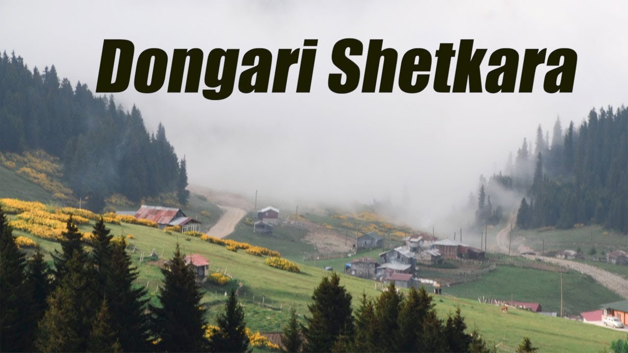 DONGARI SHETKARA |EAST INDIAN SONG |LYRICS VIDEO|Singers Late.Michael Gigool & Maria Gigool Machado.