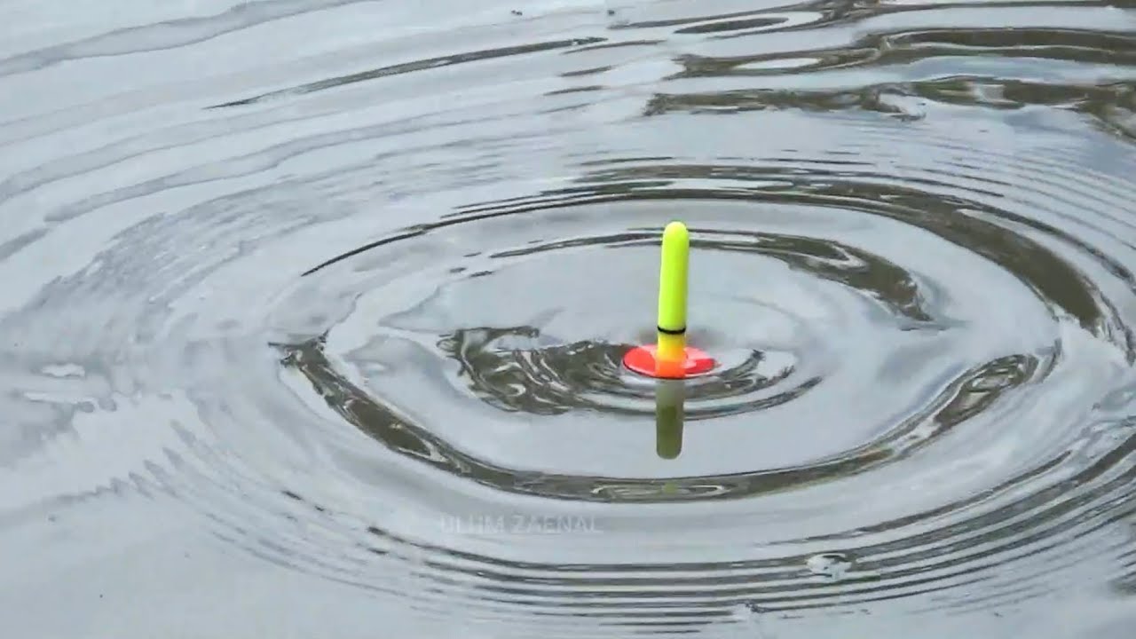 Bahaya ..! mancing disini gak terjamah tapi ikanya besar besar