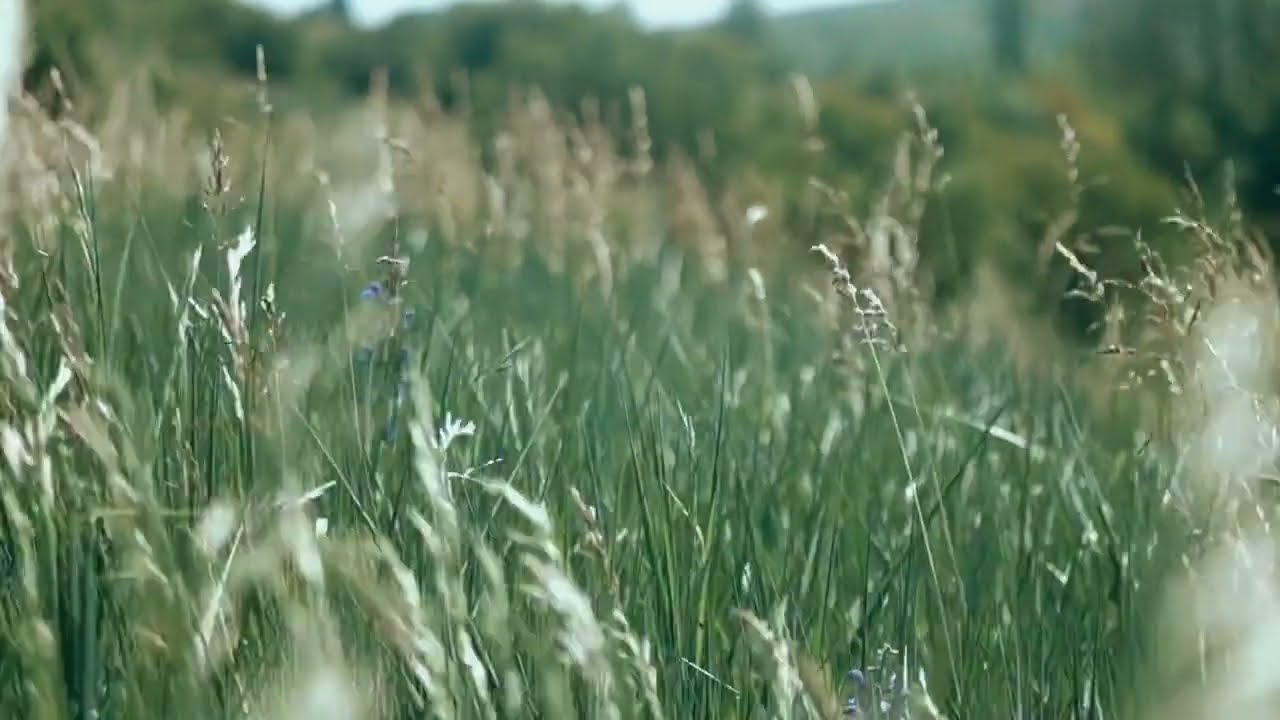 Trabalhe pela comida que permanece para vida eterna... Jesus é o Pão da vida... 📖🙏🕊️ João:6:26