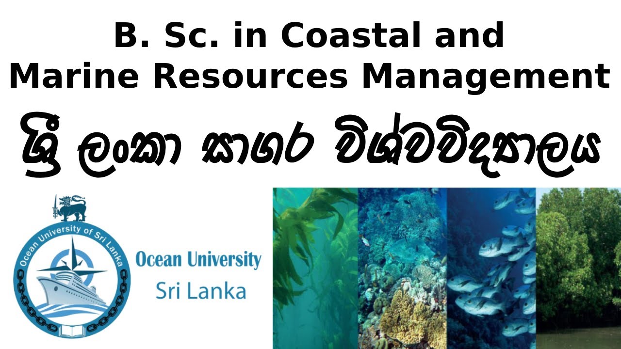 B. Sc. In Coastal and Marine Resources Management in Ocean University Sri Lanka | Dev School LK