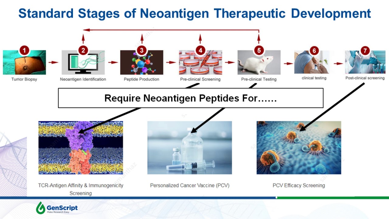 The roles of neoantigen peptides in personalized medicine
