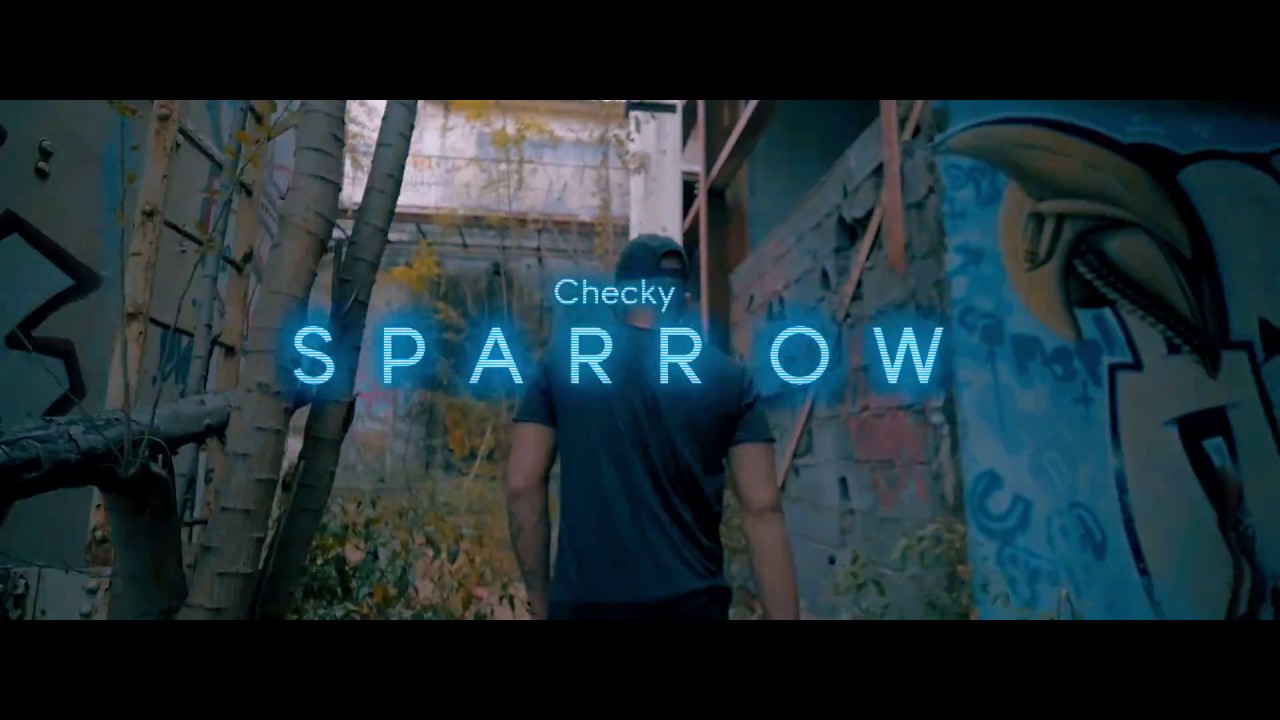 CHECKY - SPARROW