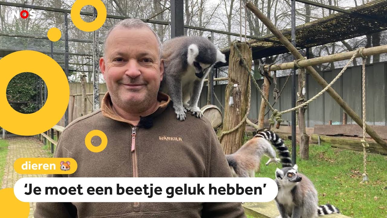 Hoe word je baas van een dierentuin?