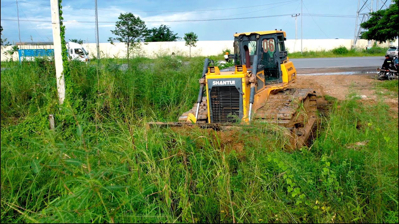 Specialist Free Style Clearing Forest By Expertise Heavy Shantui Bulldozer Push & Truck Unloading