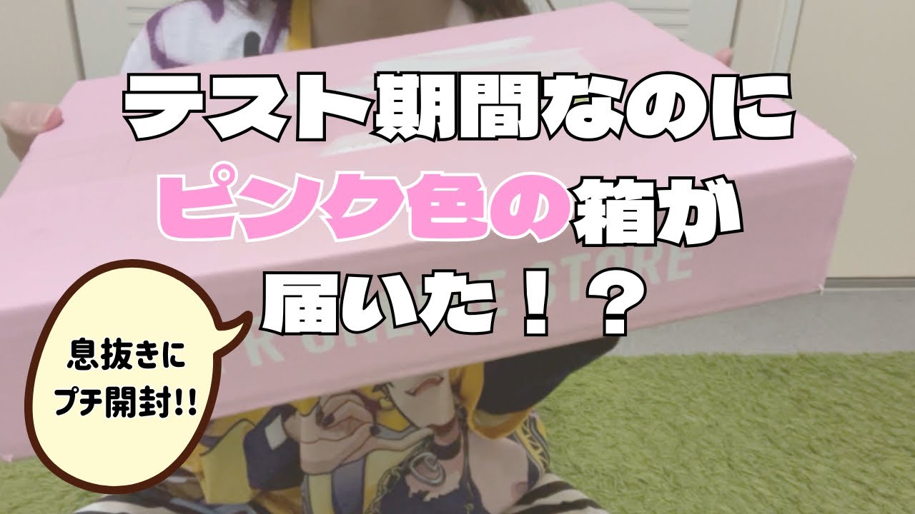 【グッズ開封】テスト期間中にグッズが届いてしまった…!!