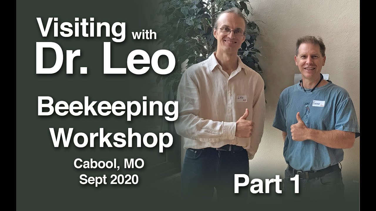 Visiting Dr Leo Sharashkin Part 1 Sept 2020