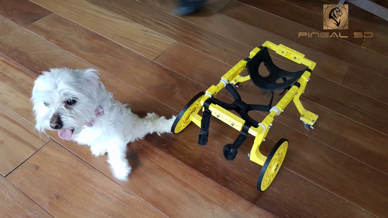 ANDADOR PARA CACHORRO EM IMPRESSÃO 3D