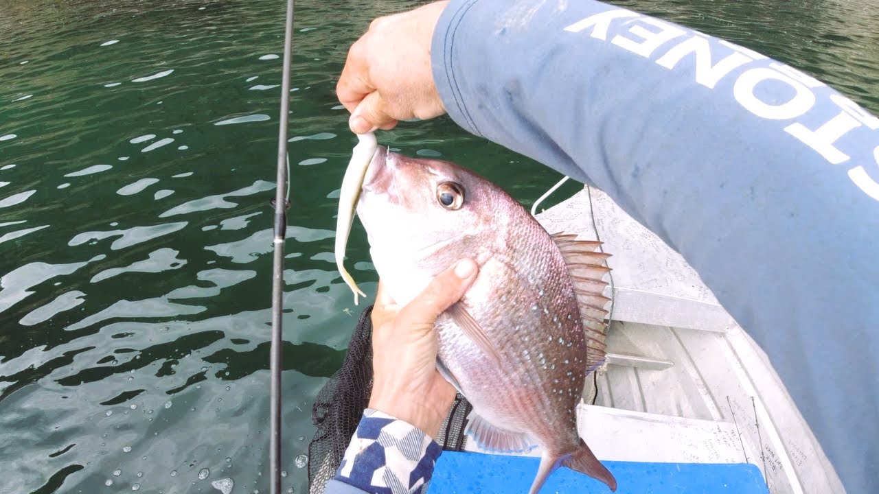 Coromandel Back Yard Fishing