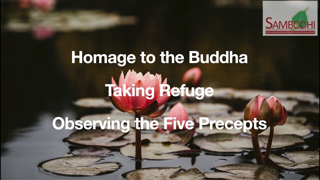 Puja | Homage to Buddha, Three Refuges & Five Precepts | Sambodhi.