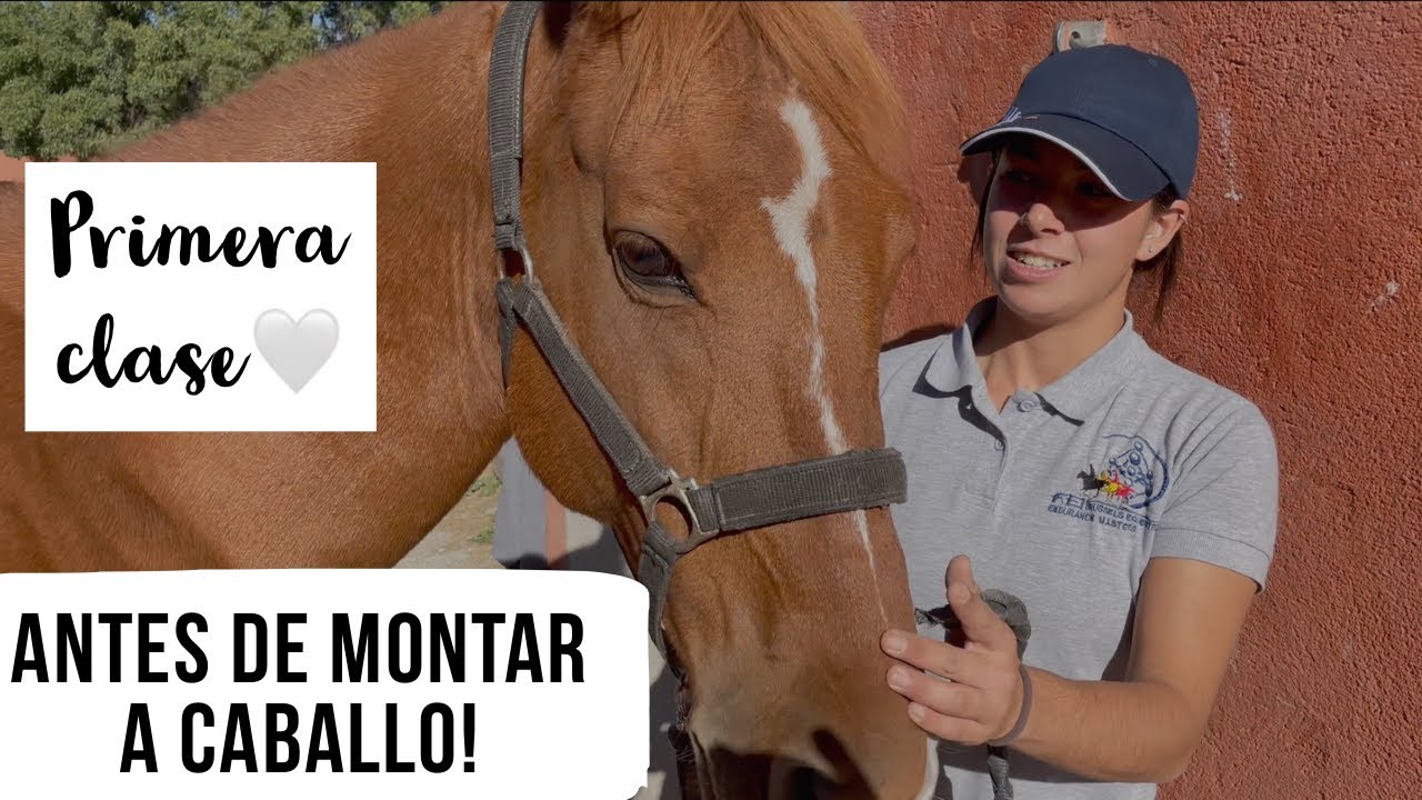 COMO MONTAR UN CABALLO  (Primera clase)