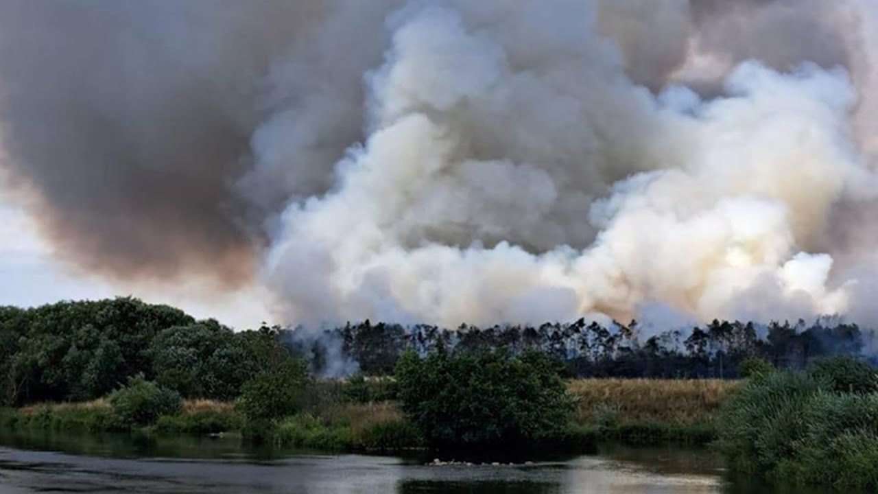 Landkreis Bamberg: Hunderte Einsatzkräfte bei mehreren Feld- und Waldbränden im Dauereinsatz