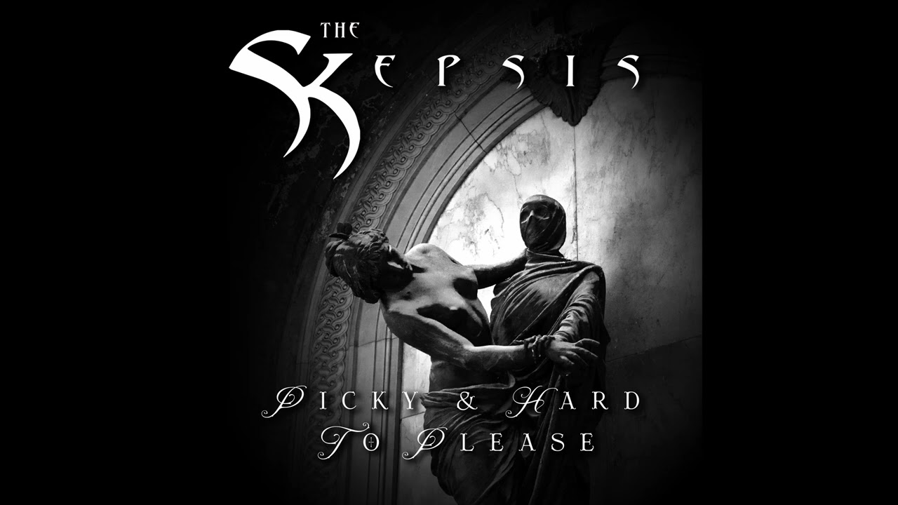 The Skepsis - Picky & Hard To Please