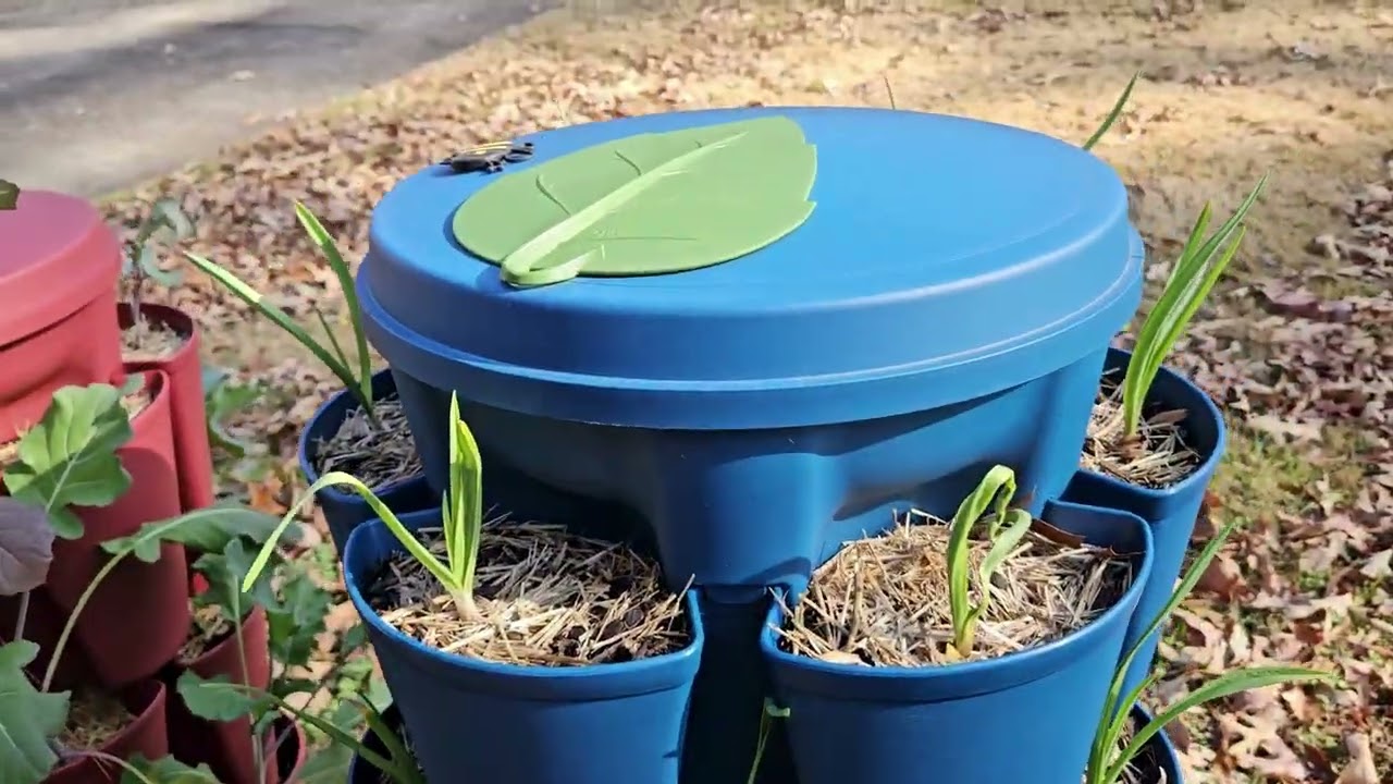 Indoor Garden Update 🌶️🍆 | Hydroponics in Full Bloom + Sneak Peek Unboxing