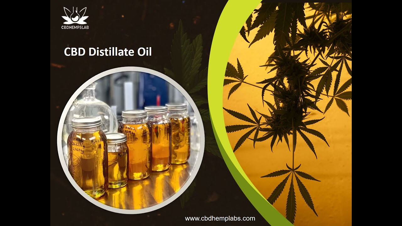 CBDHempLabs an Online Shop for Your CBD