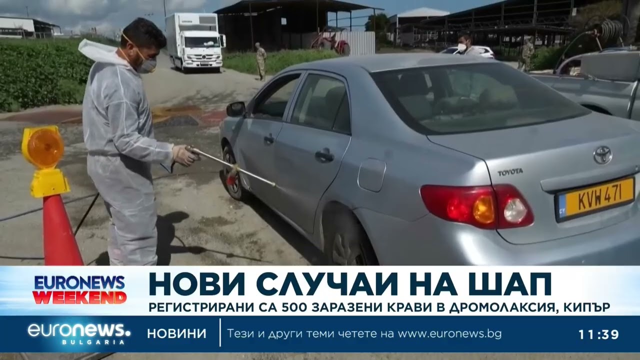 Регистрирани са 500 заразени с шап крави в Дромолаксия, Кипър
