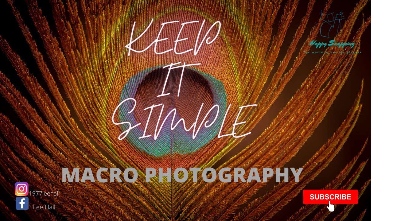 Macro photography for beginners