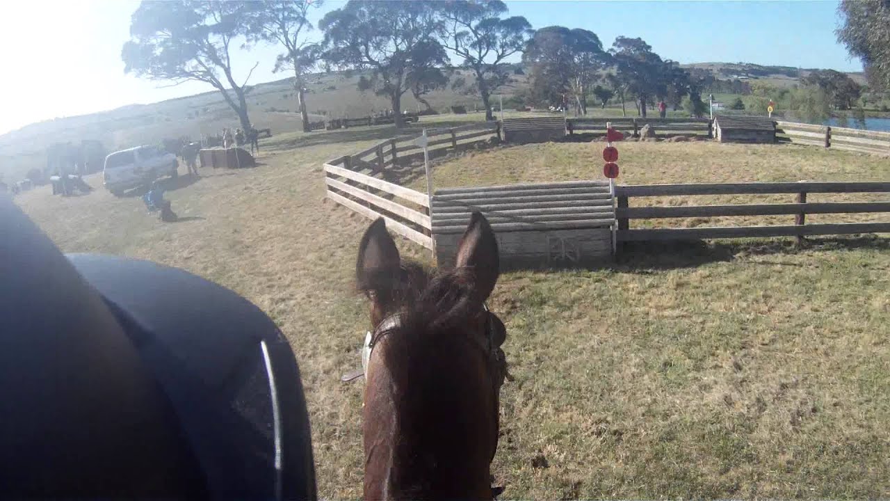 Bridget's xc pre novice (1st place) oct 16/10/11