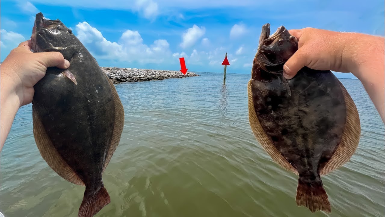 FLOUNDER FISHING 101 - EASIEST Way to Catch LIMITS of FLOUNDER!!
