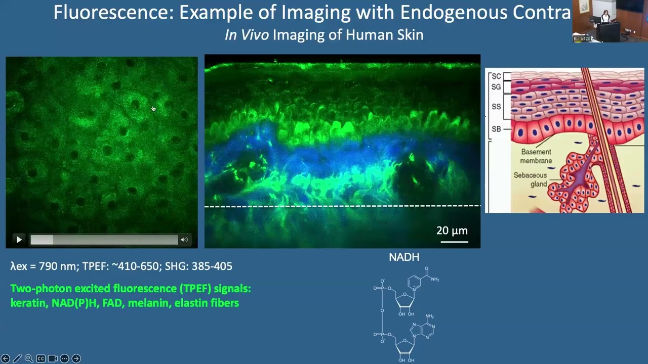 Lecture 4: Laser Scanning Microscopy in Dermatology, Prof. Mihaela Balu
