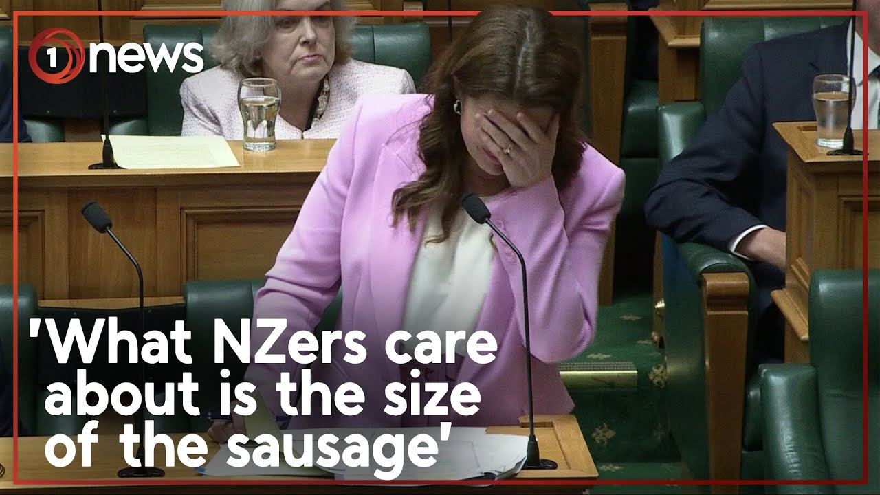 Nicola Willis&rsquo; poor choice of words has the House in stitches - again | 1News