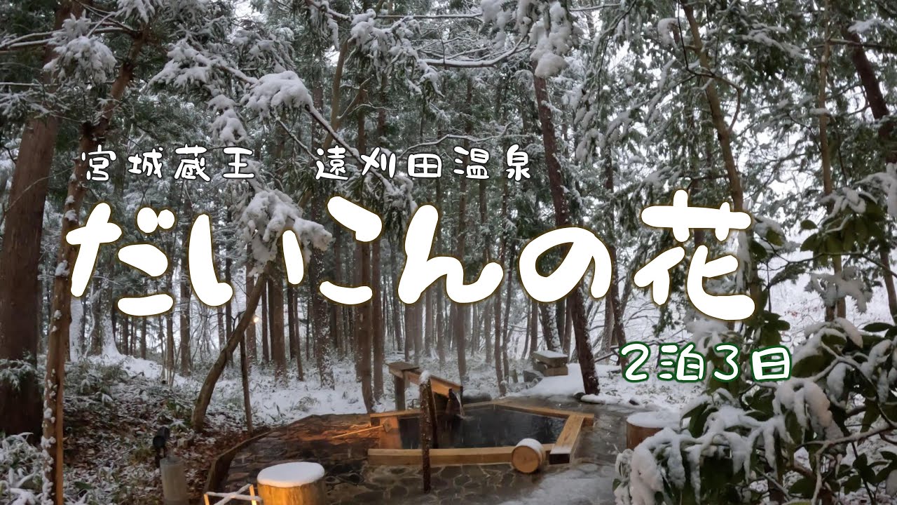 宮城蔵王　遠刈田温泉　だいこんの花