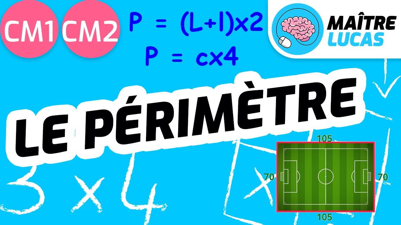 Le périmètre CM1 - CM2 - Cycle 3 - Grandeurs et mesures - Maths