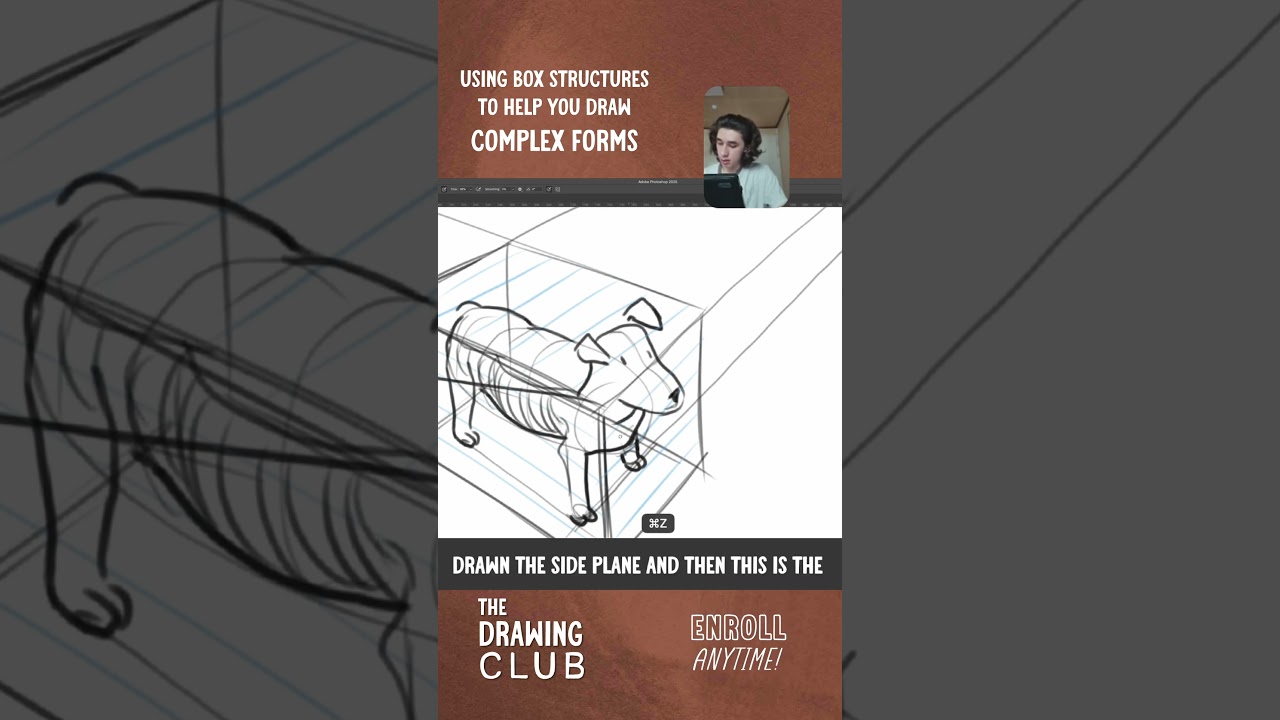 Using box structures to help you draw complex organic forms like dogs! #DrawingClub #animation