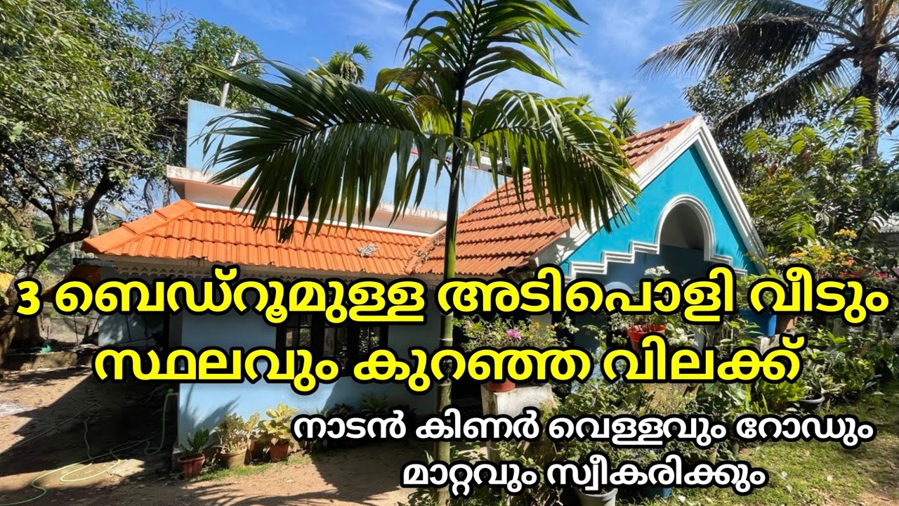 3 ബെഡ്‌റൂമുള്ള അടിപൊളി വീടും സ്ഥലവും കുറഞ്ഞ വിലക്ക് നാടൻ കിണർ വെള്ളവും റോഡും മാറ്റവും സ്വീകരിക്കും