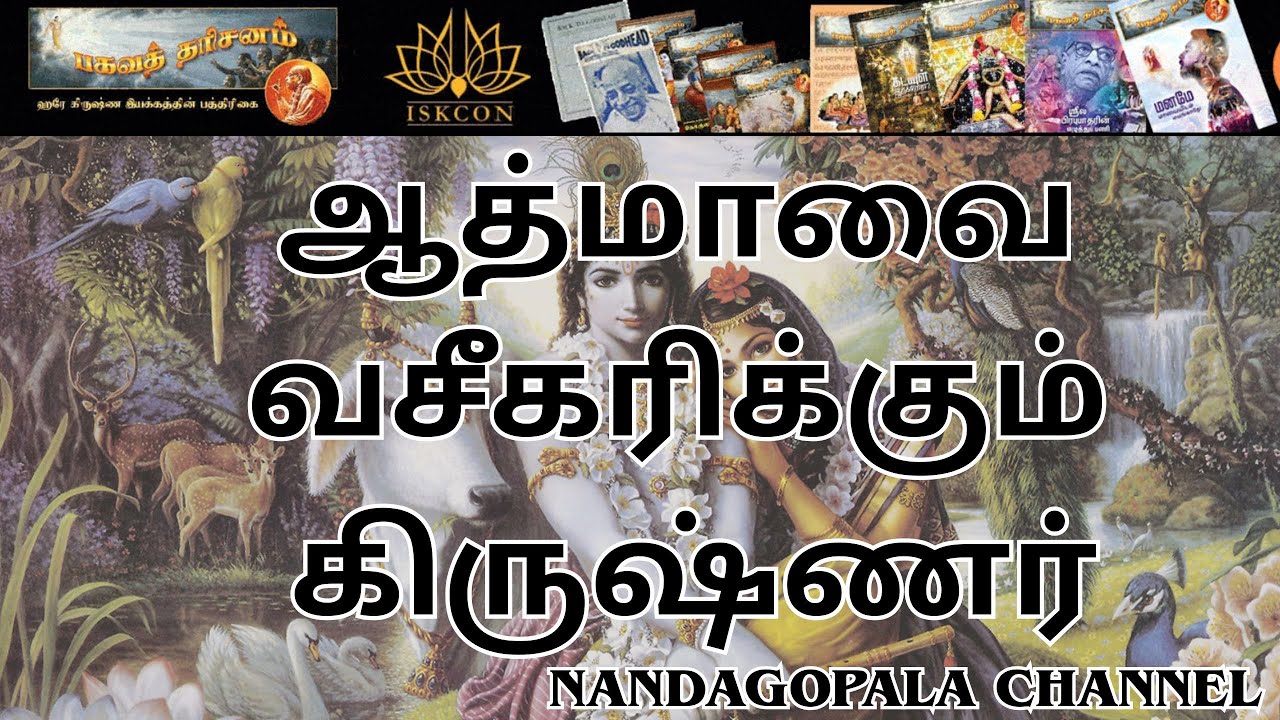 ஆத்மாவை வசீகரிக்கும் கிருஷ்ணர்| பகவத் தரிசனம் |  பாகம் 34 | Nandagopala Channel