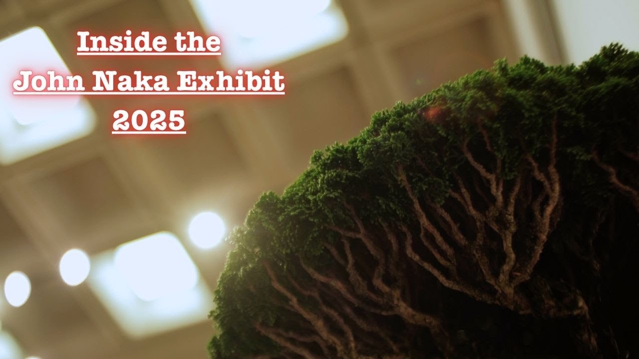 Inside the John Naka Memorial Bonsai Exhibit 2025 | Musings from the Exhibit Chair Julian Tsai