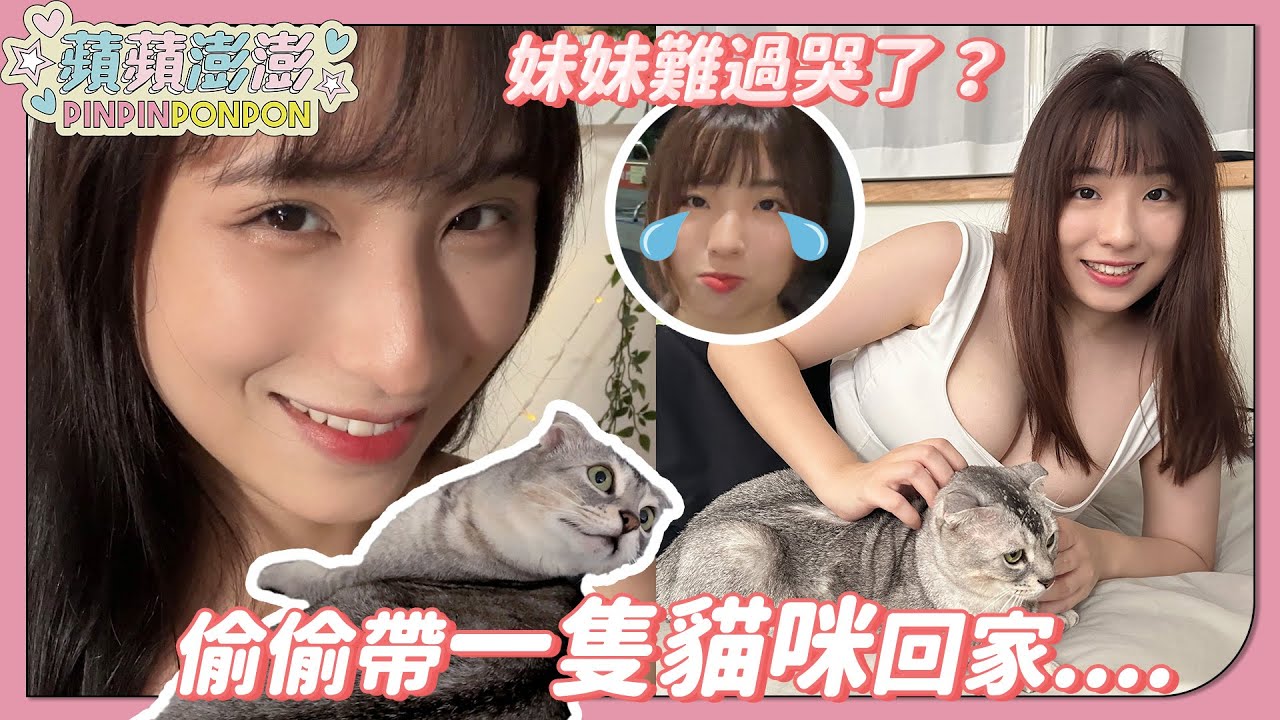 妹妹氣到不跟我講話！？領養一隻超可愛的貓回家！？惡整妹妹企劃！【蘋蘋澎澎】